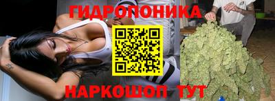 метадон Гусь-Хрустальный