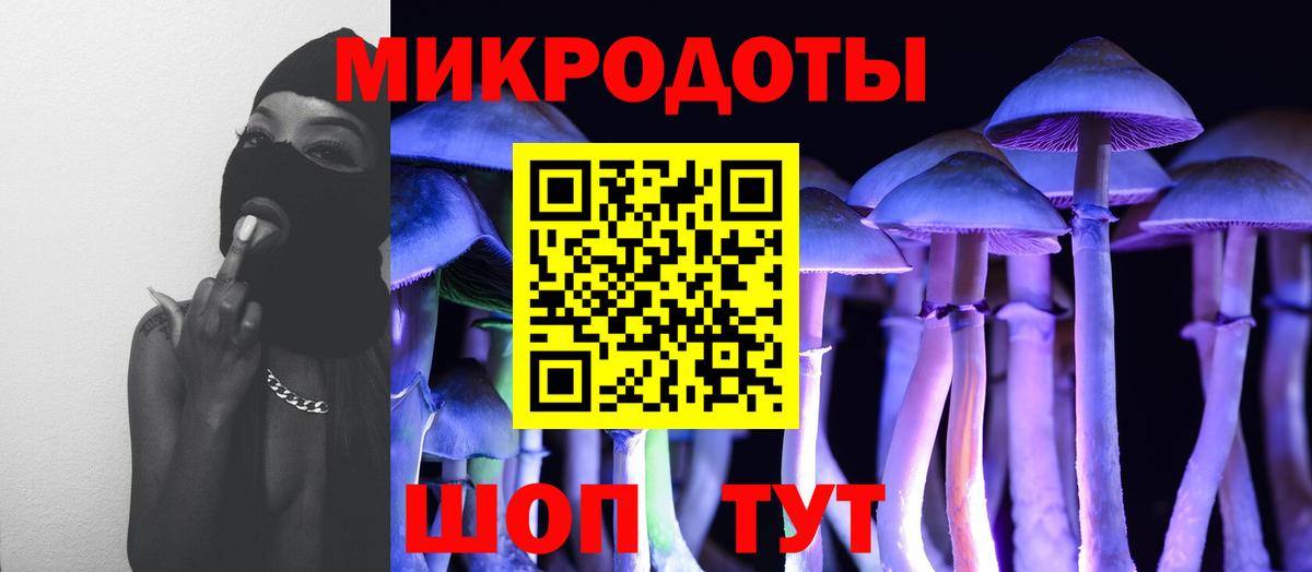 Бузулук  Псилоцибиновые грибы мухоморы  Вход с VPN 